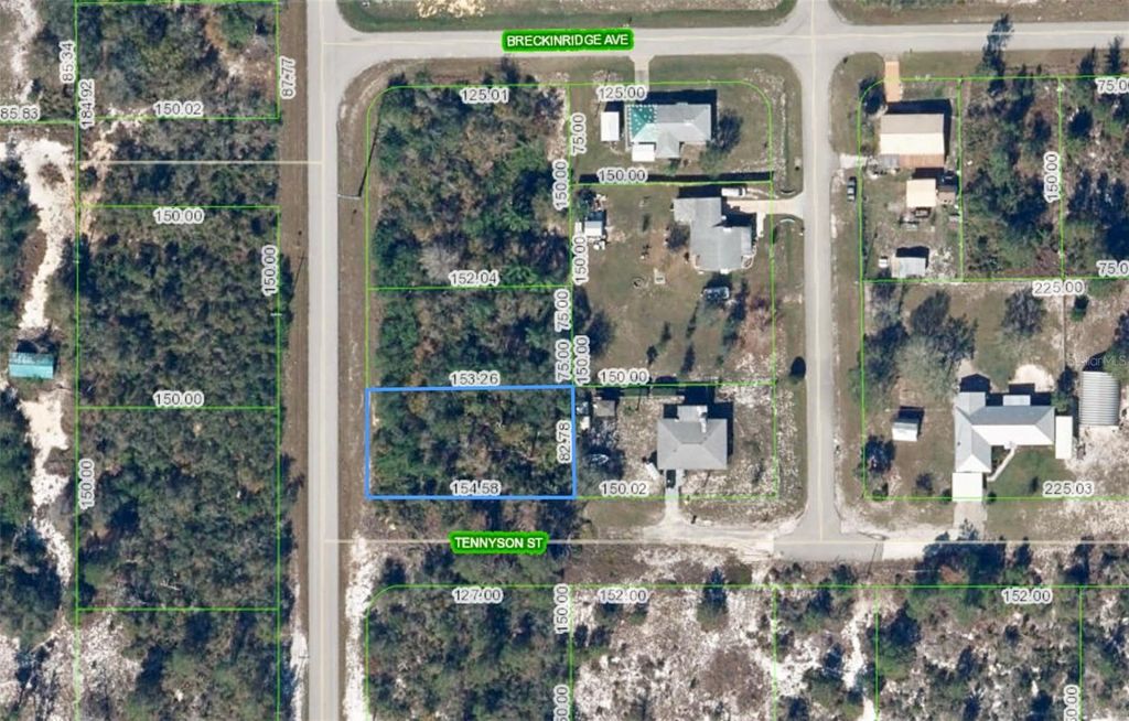 Photo of 1002 Tennyson Street, Lake Placid, FL 33852 (MLS # O6328765)
