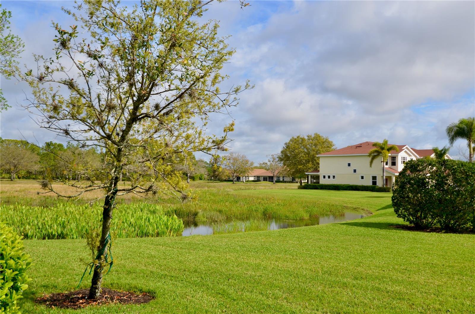 TOWNS AT LAKESIDE - Residential