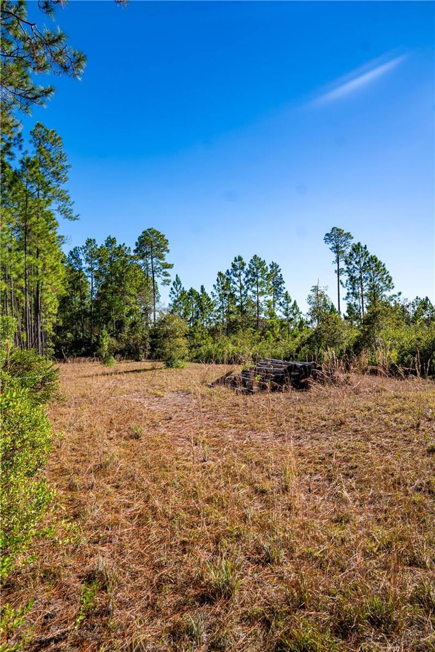 1.16 partially cleared lot, utilities easement at front of property. Lots of potential