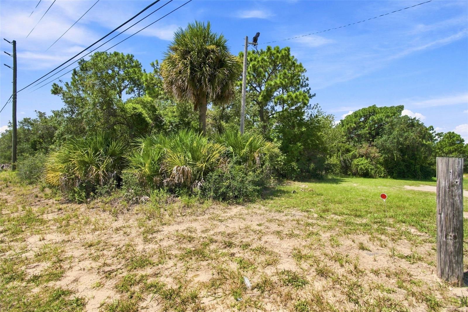 8279 SUNSHINE GROVE ROAD