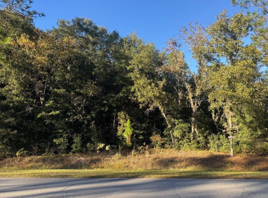 1.03-acre lot ON A PAVED ROAD in the beautiful Rolling Hills neighborhood (Ocala) with boundary survey on hand. It is surrounded by scenic homes on large parcels, offering the perfect blend of privacy, open space, and natural beauty. This parcel features excellent elevation and topography above street level and is in the desirable “X” flood zone—meaning no flood insurance is required. With a survey already completed, you can start planning your dream home right away! Enjoy the peace of country living while staying close to everything that makes Ocala special: just minutes from main highways and less than 15 minutes to the World Equestrian Center, Rainbow Springs State Park, top-rated trails, shopping, hospitals, and restaurants. Whether you’re ready to build now or invest for the future, this parcel in Rolling Hills is a perfect blend of location, lifestyle, and opportunity.
