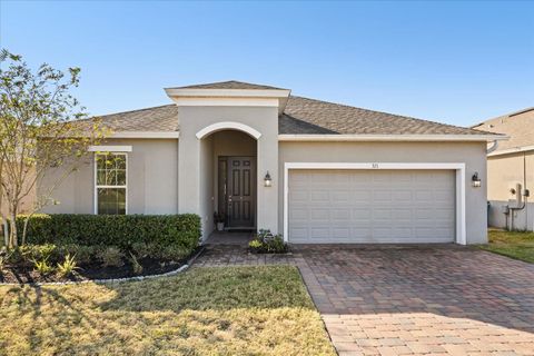 Photo of 321 Meadow Pointe Drive, Haines City, FL 33844 (MLS # O6361843)