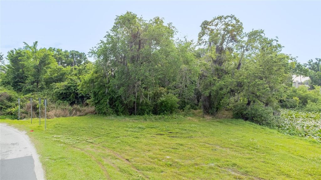 Photo of N Seminole Lake Blvd, Plant City, FL 33563 (MLS # O6399205)