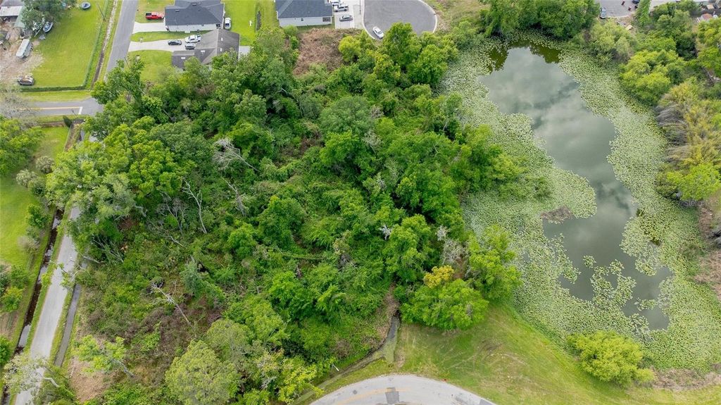 Photo of N Seminole Lake Blvd, Plant City, FL 33563 (MLS # O6399205)