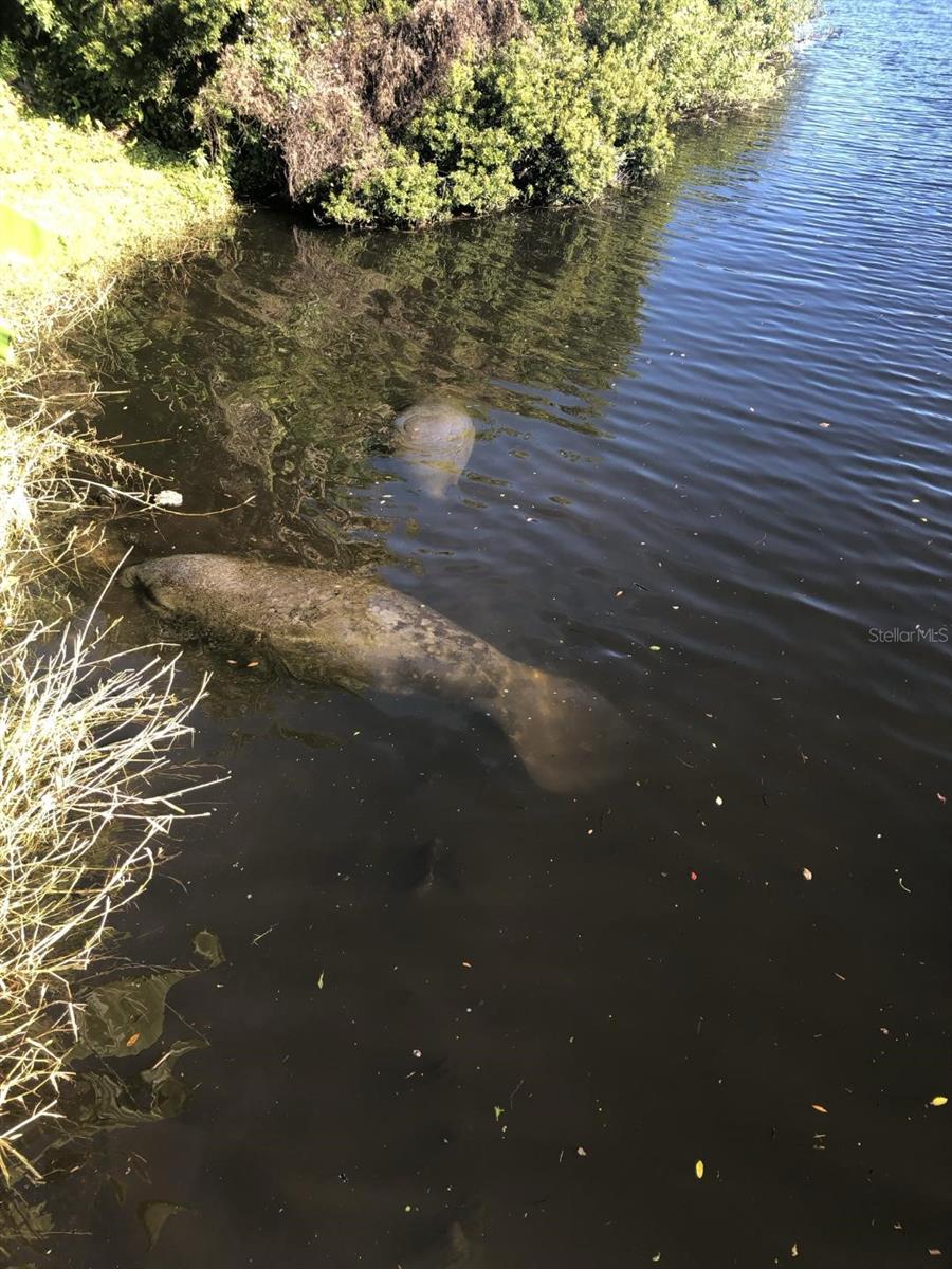 CRANE CREEK LANDING TOWNHOMES - Residential