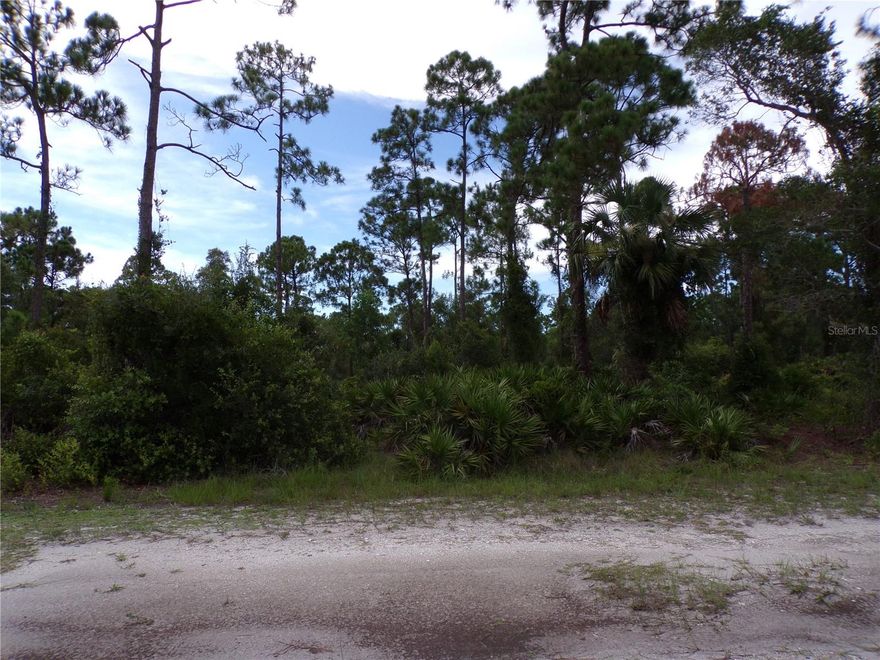 Pondfront Lot in Tropical Gulf Acres. Enjoy peaceful water views from this lot located directly on a small pond in the quiet community of Tropical Gulf Acres. Whether you're looking to build your dream home, retire, or raise a family, this location offers the perfect blend of natural beauty and convenience. Located just a short walk from Bissett Park, a well-maintained county park offering tennis courts, basketball, shuffleboard, horseshoes, a playground, picnic area, and a scenic waterfront setting. Commuting is easy with I-75 less than 3 miles away. You’re only 10 miles from Ponce De Leon Park, known for its stunning sunsets, and Boat Ramp, just 8 miles from the Punta Gorda Historic District and waterfront parks, where you’ll find a variety of shopping, dining, and entertainment options. Enjoy nearby amenities including Tampa Bay Rays spring training, Charlotte County Fairgrounds, multiple golf courses, and some of Florida’s best boating and fishing. Red Sox, Orioles, Twins, and Braves spring training facilities are also within an hour’s drive.
Buyer and buyer’s agent are responsible for verifying environmental conditions and any endangered species restrictions.