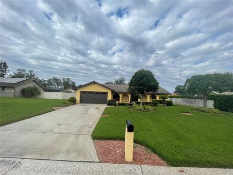 A home in VALRICO