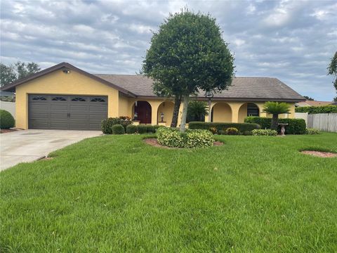 A home in VALRICO