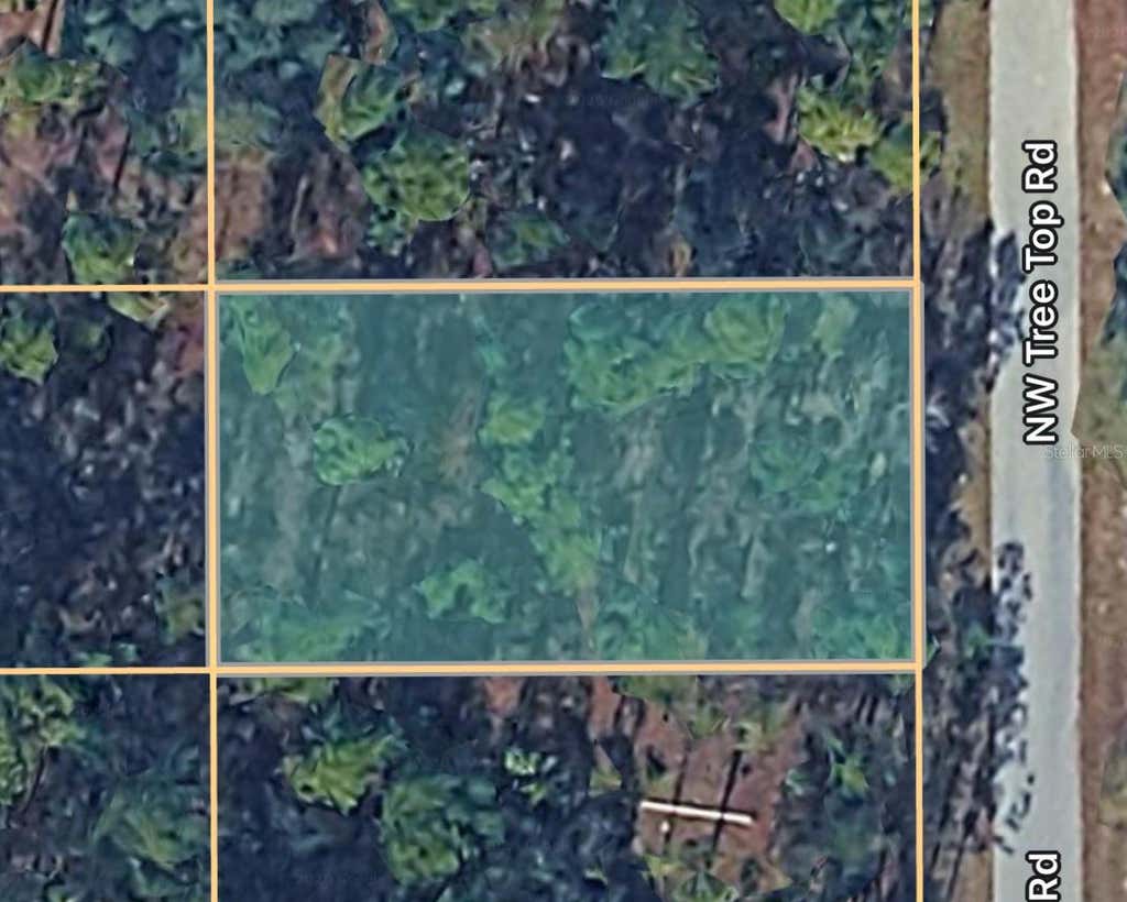Photo of 0000 NW Treetop Road #021, Dunnellon, FL 34431 (MLS # OM717035)