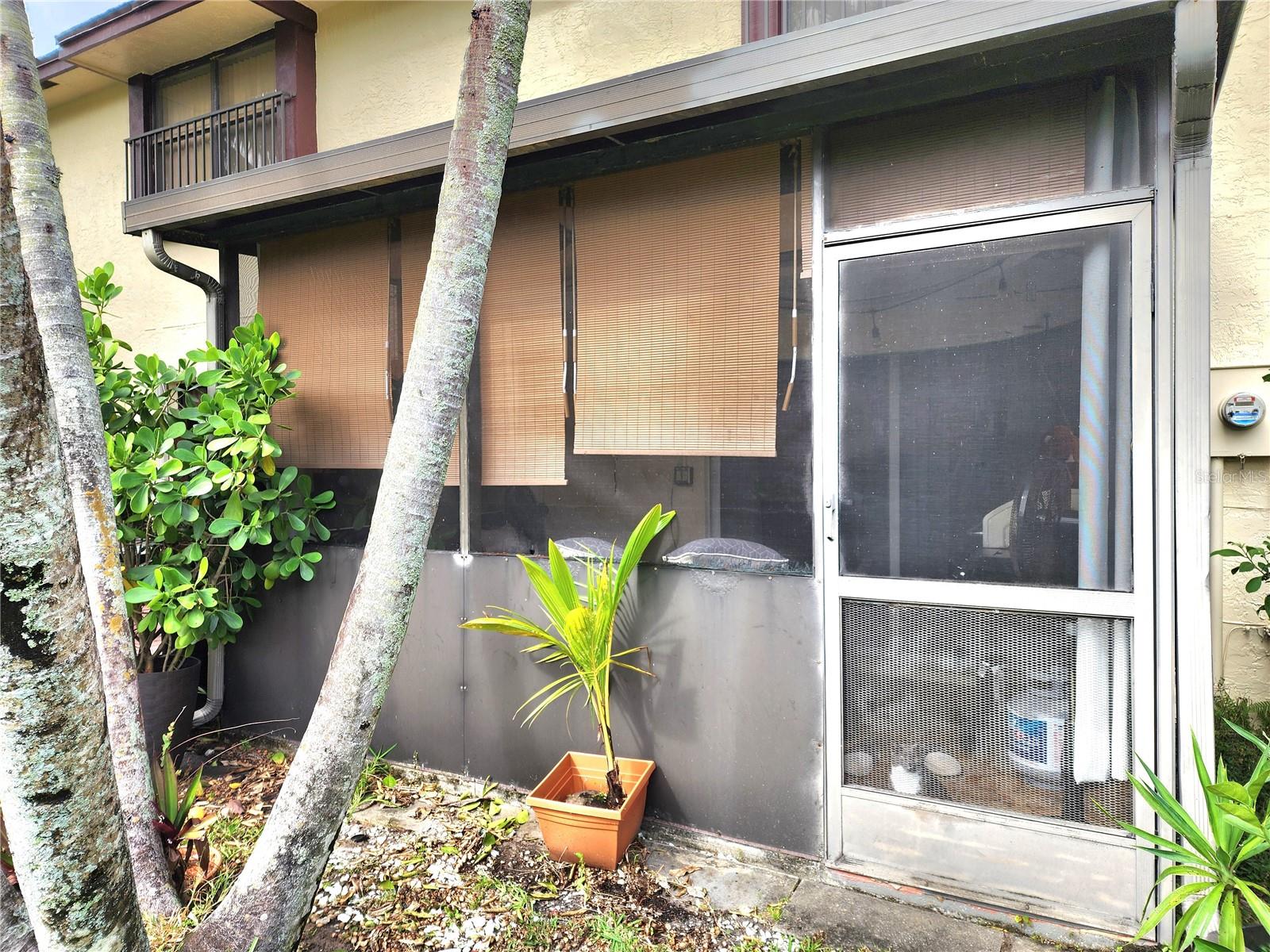 3801 CARAMBOLA CIRCLE N 2802