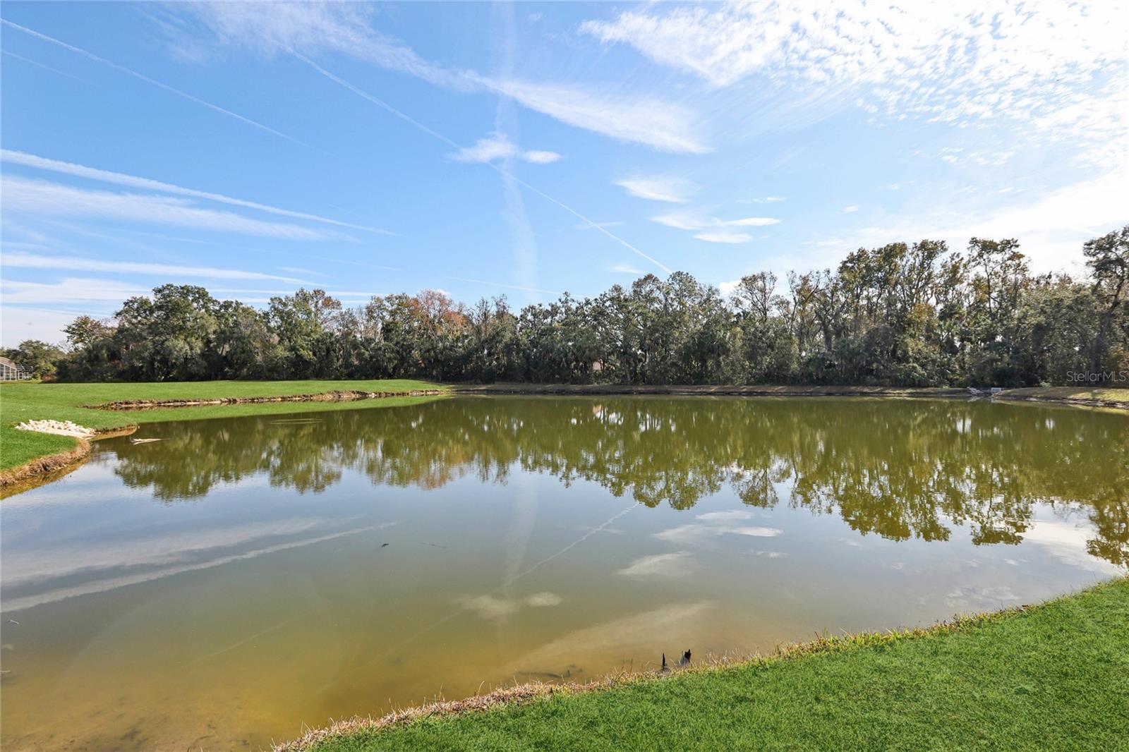 SEVEN OAKS PARCELS S-16 & S-17A - Residential