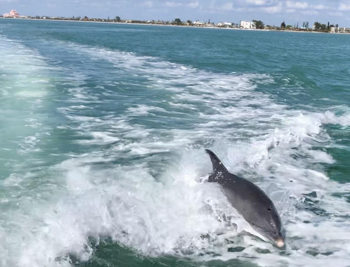 VILLA DEL MAR - Residential