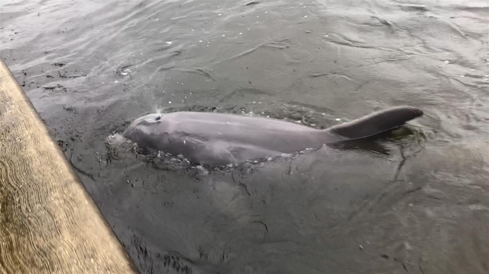 VILLA DEL MAR - Residential