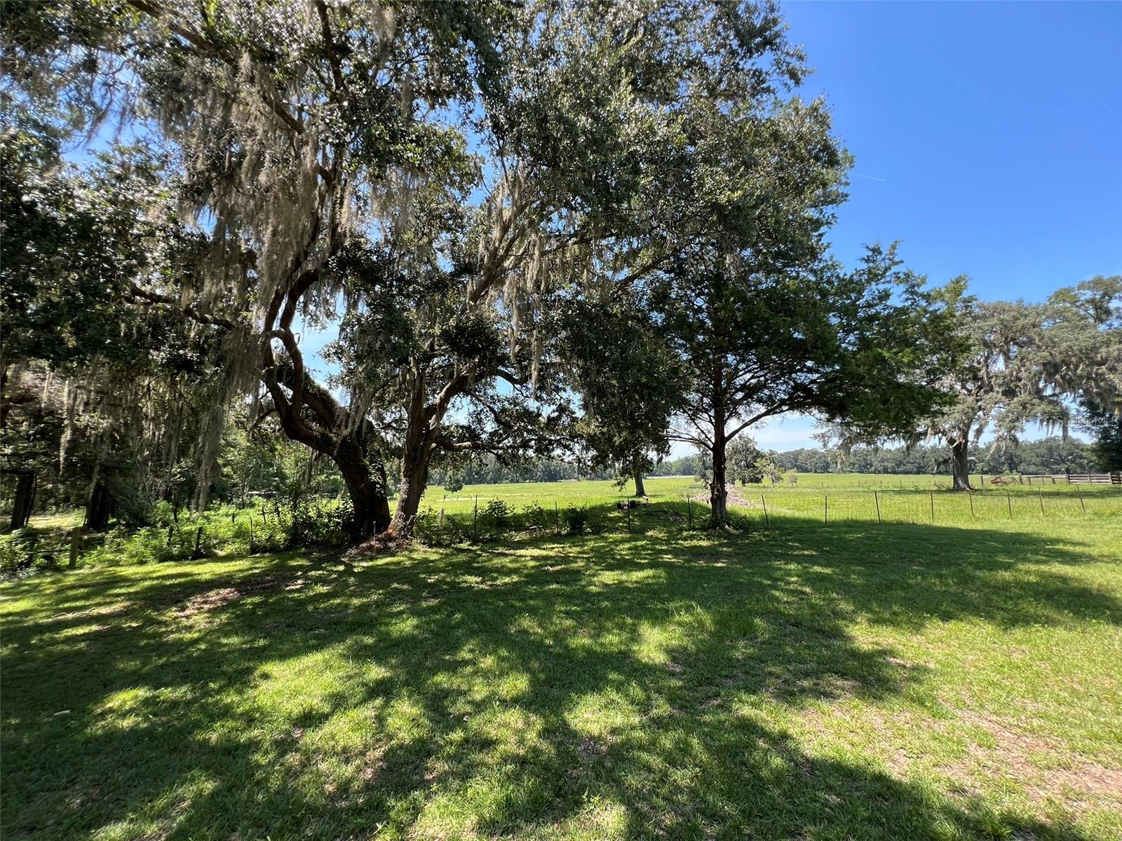 N/A - Residential Lease