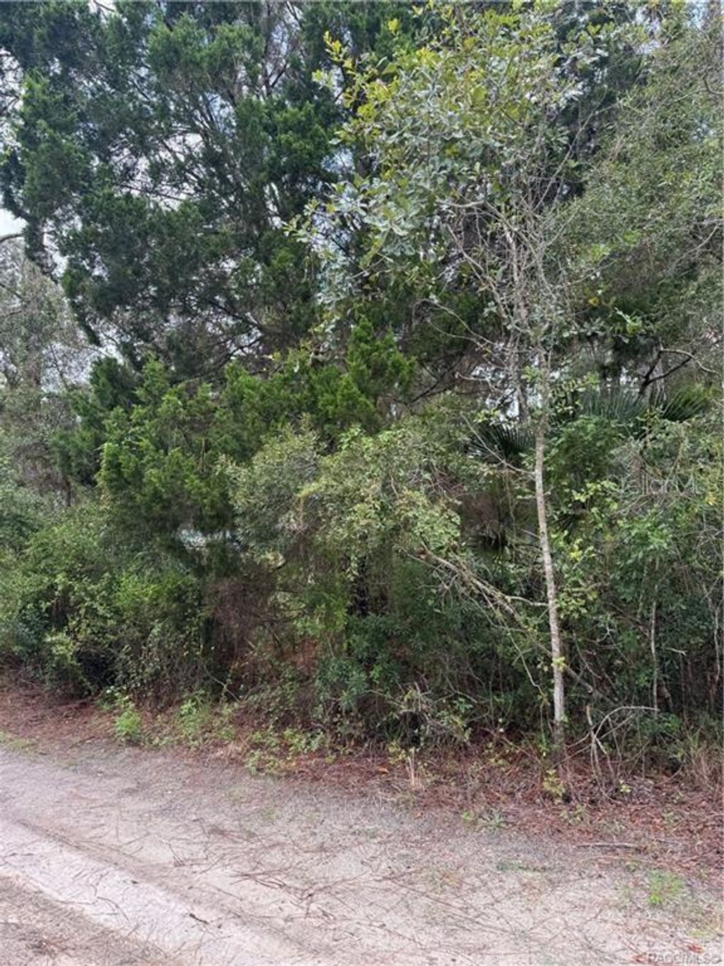 Photo of 2963 N Oakland Terrace, Crystal River, FL 34428 (MLS # TB8442857)