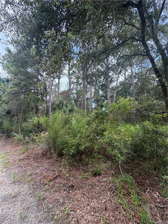 AMERICAN DATA & COMPUTER CREDIT CORP UNREC - Land