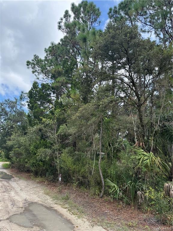 AMERICAN DATA & COMPUTER CREDIT CORP UNREC - Land