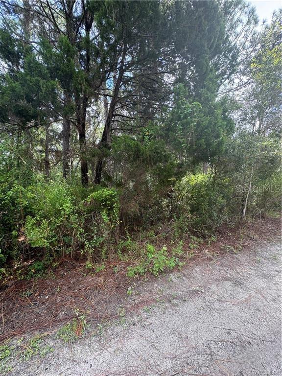 AMERICAN DATA & COMPUTER CREDIT CORP UNREC - Land