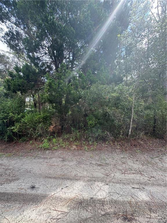 AMERICAN DATA & COMPUTER CREDIT CORP UNREC - Land