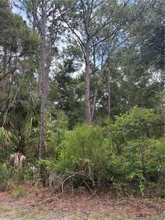 AMERICAN DATA & COMPUTER CREDIT CORP UNREC - Land