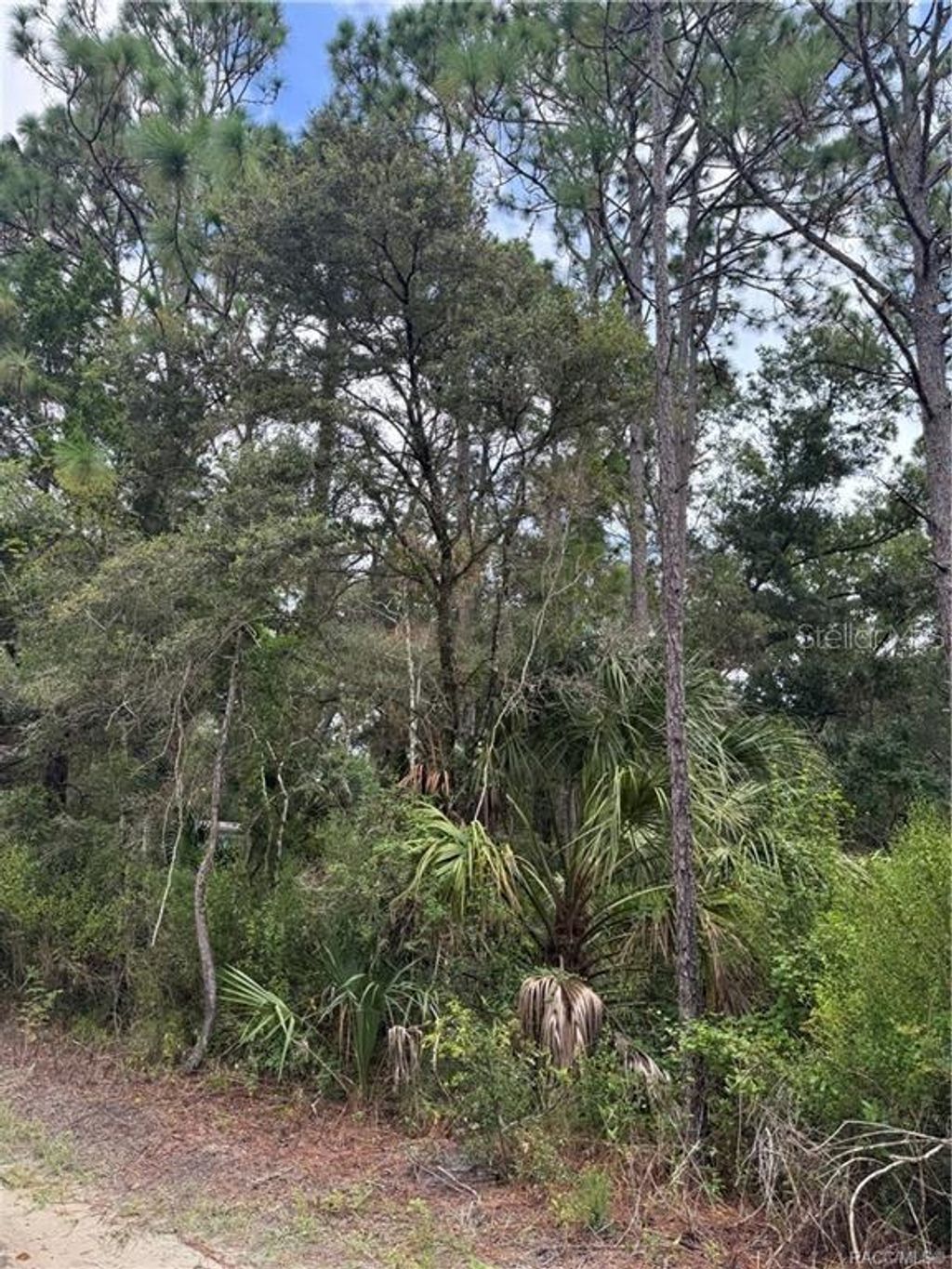 Photo of 2963 N Oakland Terrace, Crystal River, FL 34428 (MLS # TB8442857)