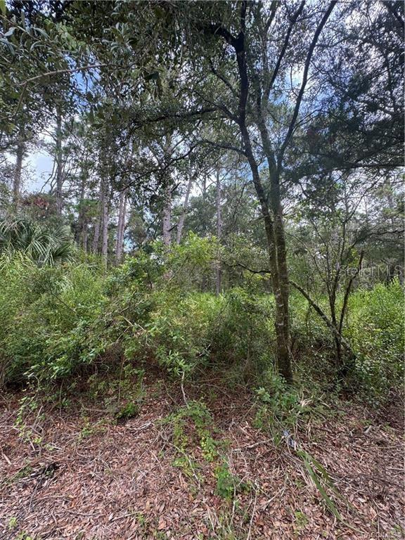 AMERICAN DATA & COMPUTER CREDIT CORP UNREC - Land