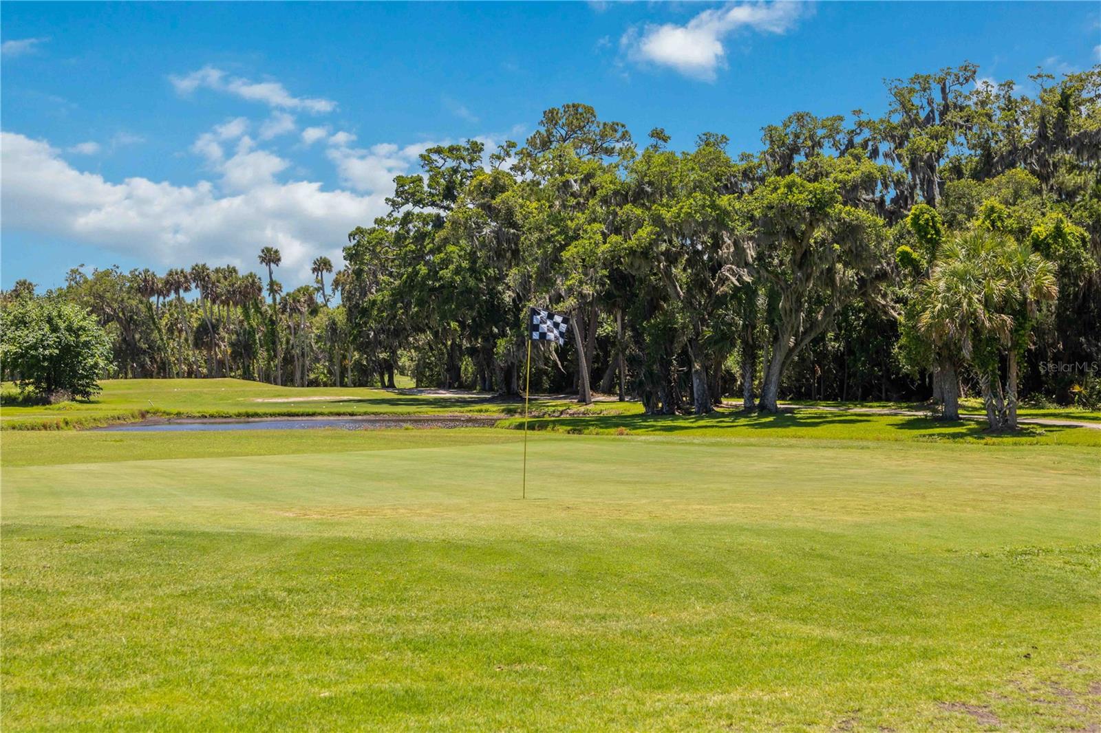 GOLFS EDGE CONDO - Residential