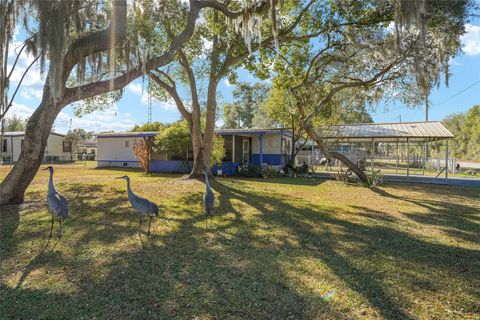 Photo of 18486 SE 52nd Street, Ocklawaha, FL 32179 (MLS # O6376916)