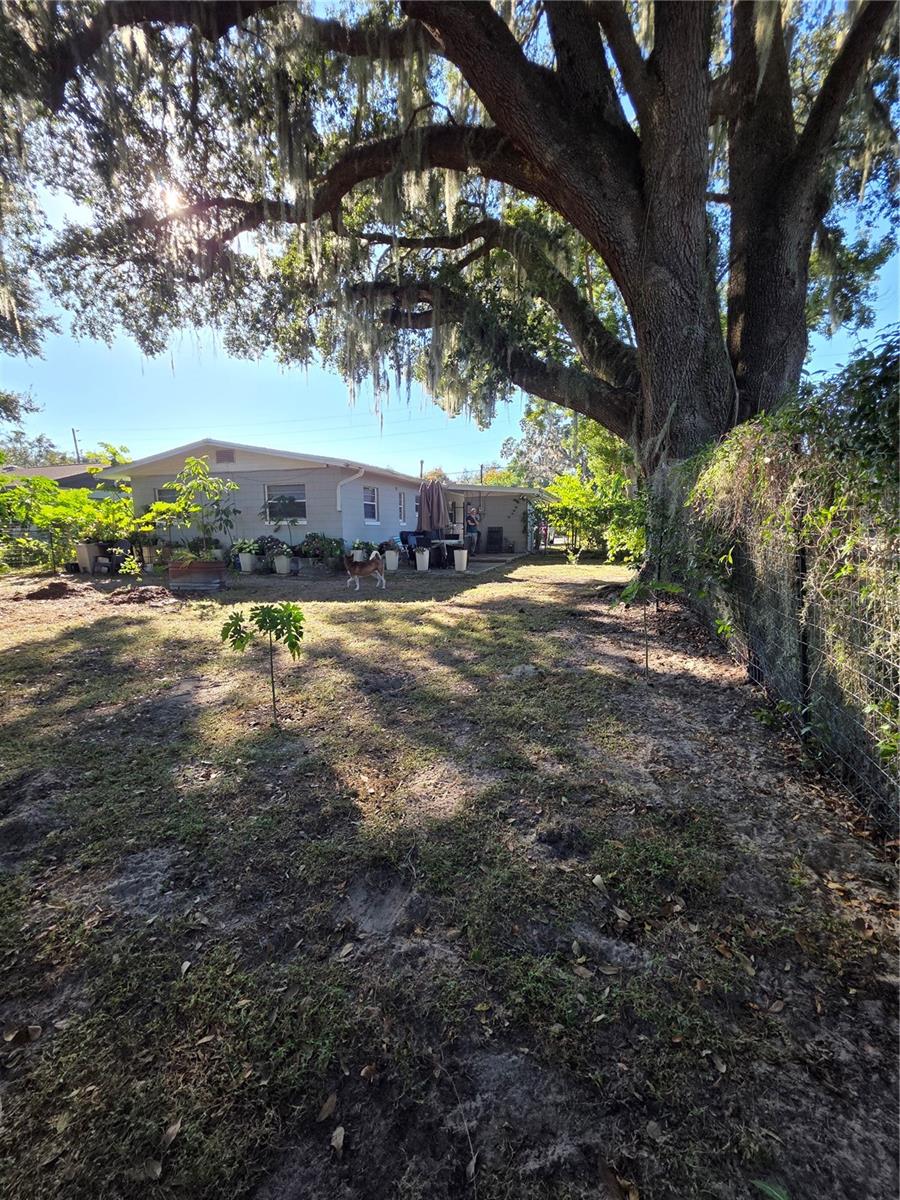 HOLLYWOOD HEIGHTS - Residential