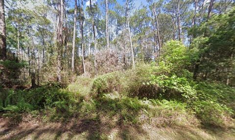 418 PALM WAY GEORGETOWN FL 32139