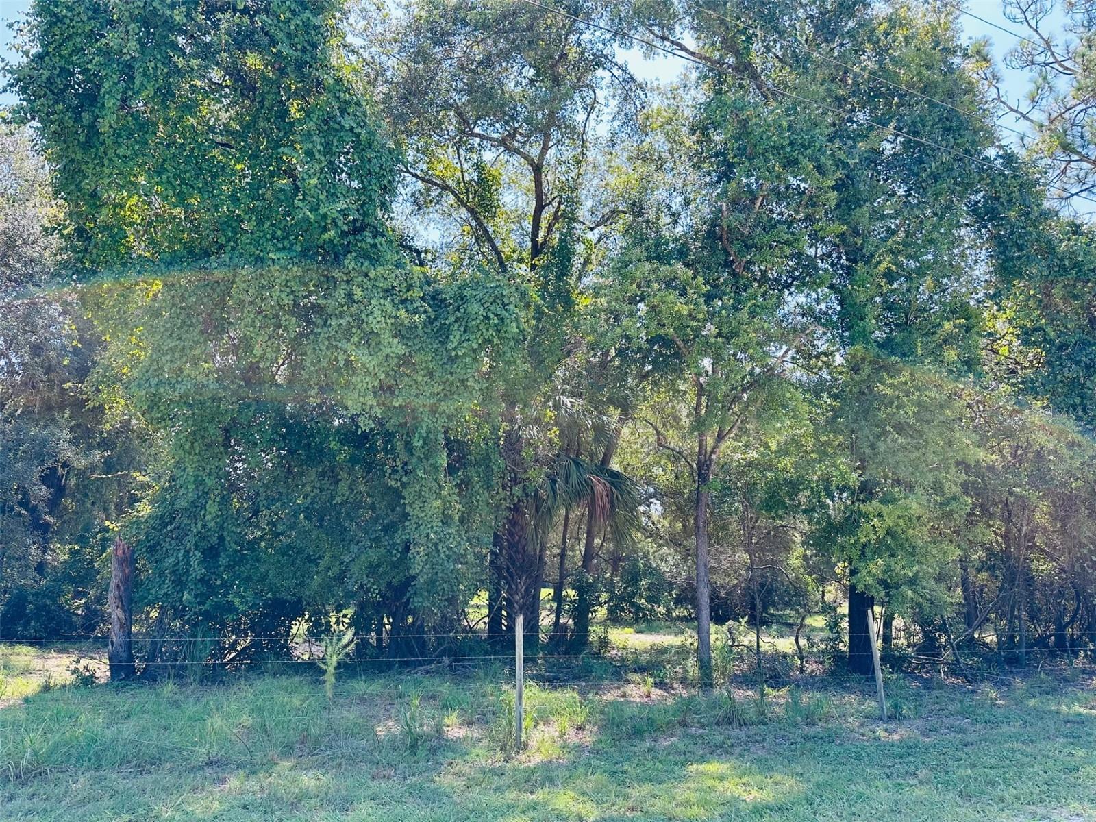 Discover nearly 10 acres of beautiful Florida land with scattered native trees, offering the perfect mix of privacy and open space. Whether you’re dreaming of building your custom site-built home or placing a manufactured home, this property gives you the freedom to create your ideal homestead. Located just a short golf cart ride to the local 18-hole golf course and only minutes from Manatee Springs State Park and a boat ramp on the Suwannee River, outdoor adventure is always close by. You’ll also enjoy the convenience of being just 10 minutes from shopping, schools, and local dining. Bring your cattle, horses, or gardening plans—this acreage is well-suited for a small farm or private retreat. For those looking for even more space, the neighboring parcel is also available, making this a rare opportunity to expand your footprint in North Central Florida. If you’ve been searching for land in Florida that combines recreation, privacy, and convenience, this property checks all the boxes!