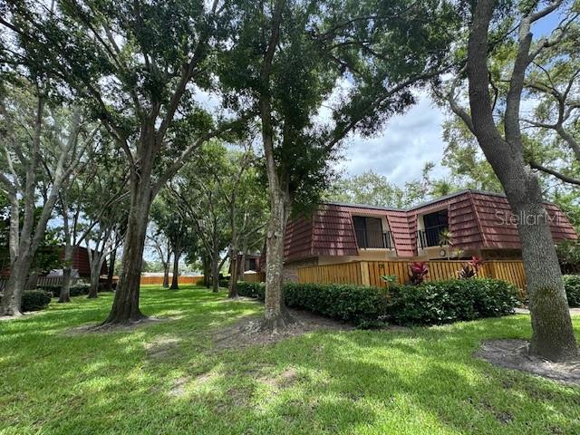 WEDGE WOOD OF PALM HARBOR - Residential