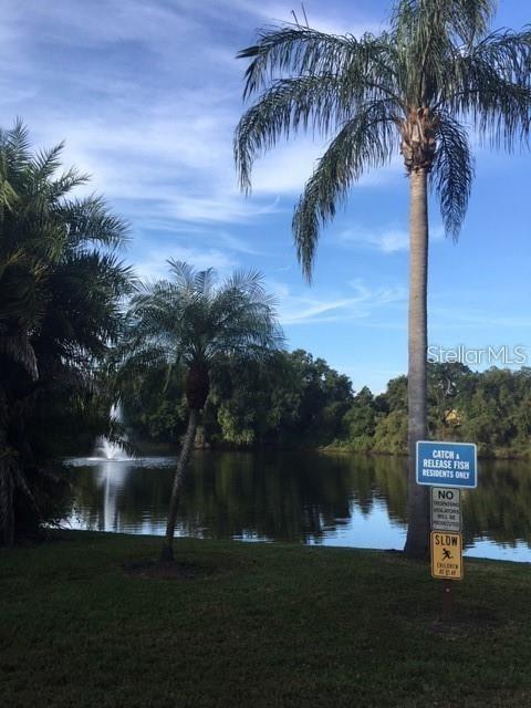 WEDGE WOOD OF PALM HARBOR - Residential