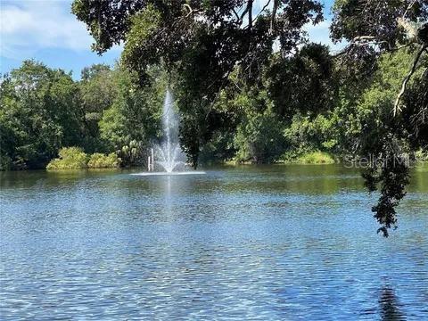 WEDGE WOOD OF PALM HARBOR - Residential