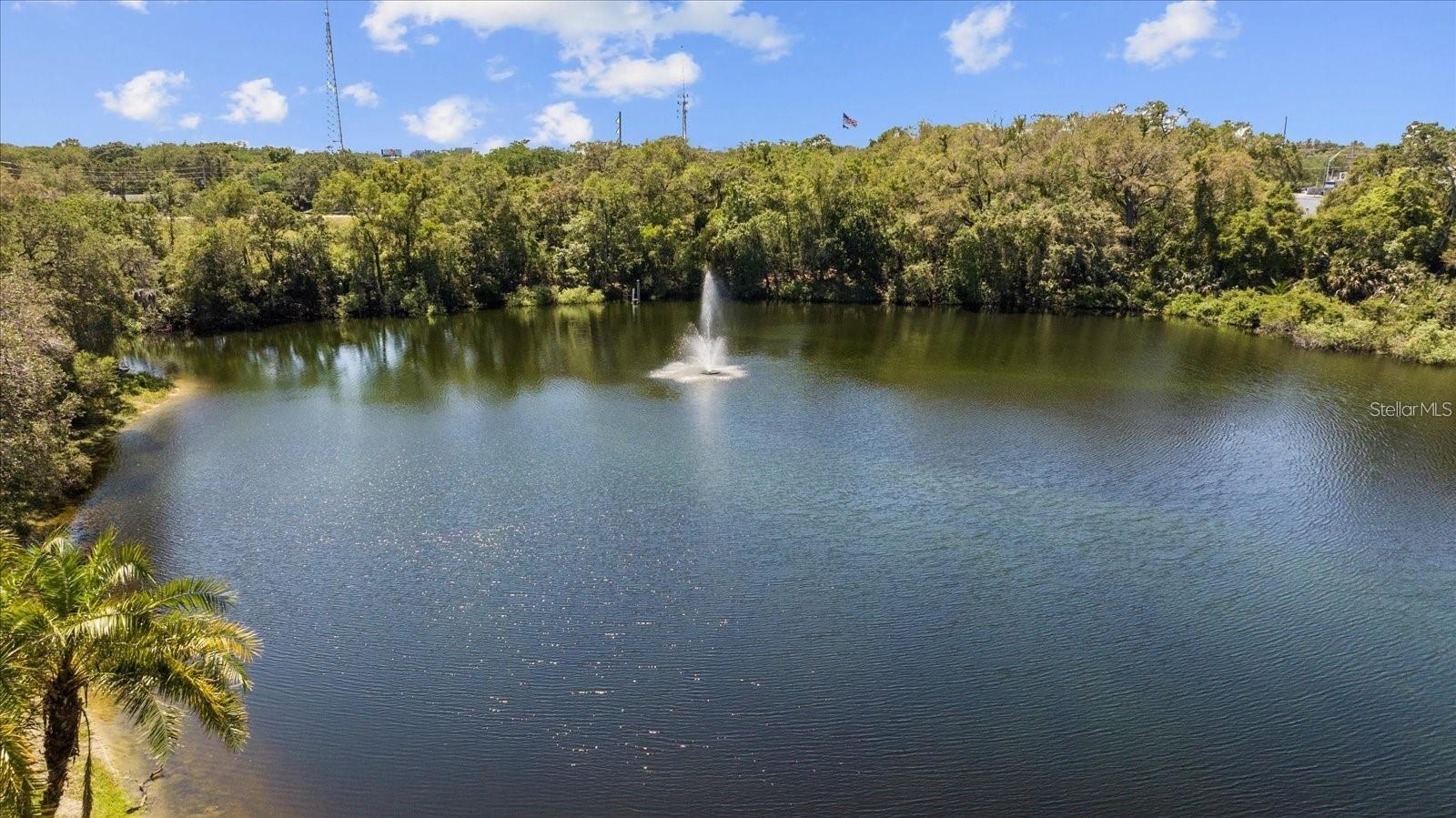 WEDGE WOOD OF PALM HARBOR - Residential