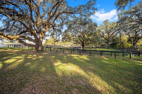 A home in OCALA