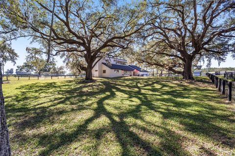 A home in OCALA