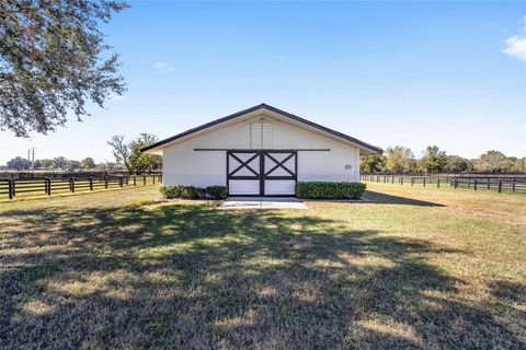 A home in OCALA