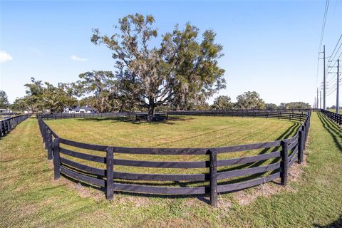 A home in OCALA