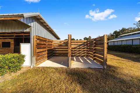 A home in OCALA