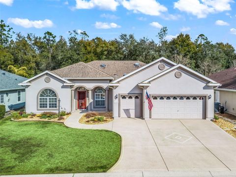 17572 SE 121ST CIRCLE SUMMERFIELD FL 34491