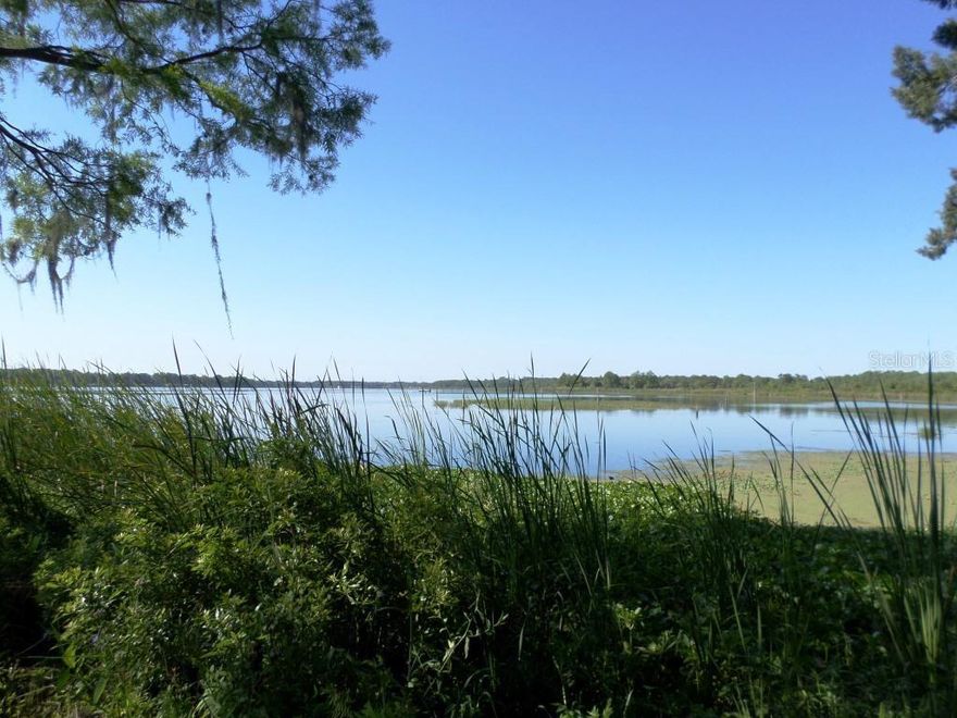 This is a nice 5 +/- acre waterfront lot on Lake Rousseau that is ready for you to build your dream home on. Enjoy nice waterfront views and great bass fishing.