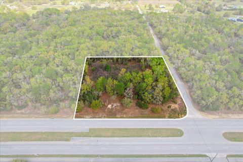 Tiny photo for 161 W Norvell Bryant Highway, Hernando, FL 34442 (MLS # TB8485885)