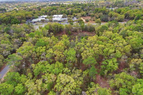 Tiny photo for 161 W Norvell Bryant Highway, Hernando, FL 34442 (MLS # TB8485885)