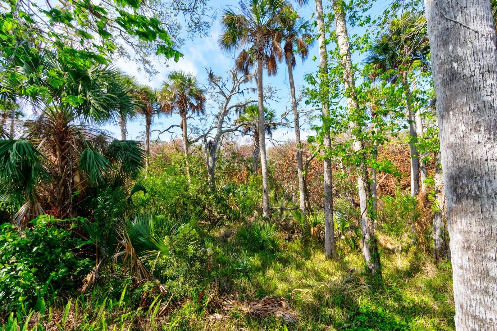 CALLALISA CRK VISTAS-PH 2A - Residential