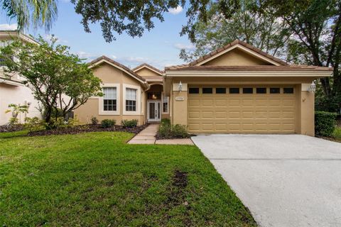 17707 NATHANS DRIVE TAMPA FL 33647