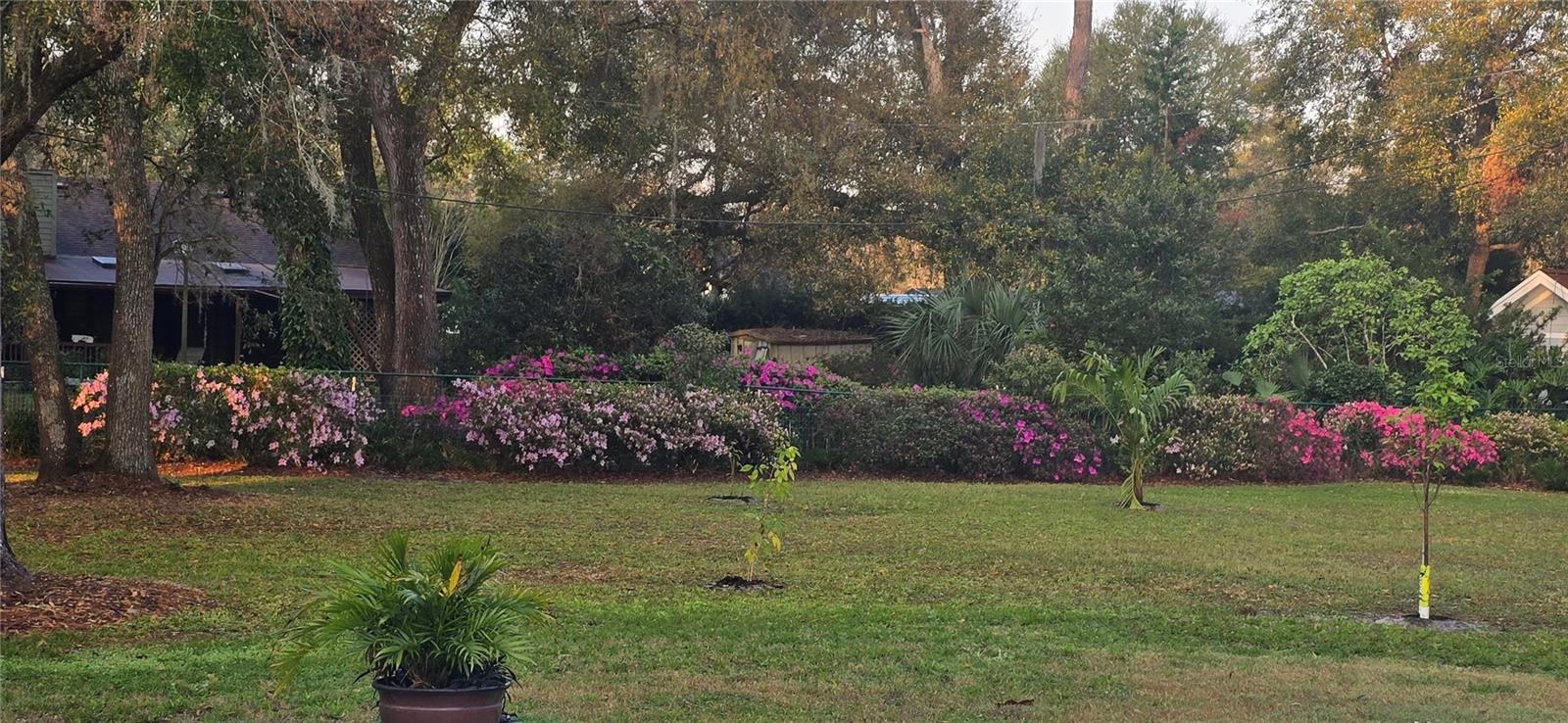 LOST HILL LAKE ESTATES UNIT 02 - Residential