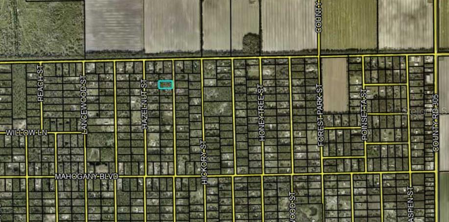 DAYTONA NORTH SUB - Land