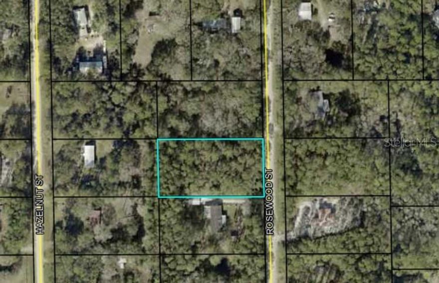 165’ x 300’ wooded lot (1.14 acres) located just under 30 minutes from the beach. High and dry. No CDD or HOA. Zoned for either manufactured or site-built homes. Work trucks and RVs are permitted once a livable structure is established. Country setting with privacy. Close to a paved road. Upcoming area with new construction nearby. Suitable for chickens, small animals, and gardening. All inspections, improvements, and utility connections to be the buyer’s responsibility.