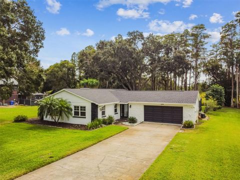 210 LAKE HOBBS ROAD LUTZ FL 33548